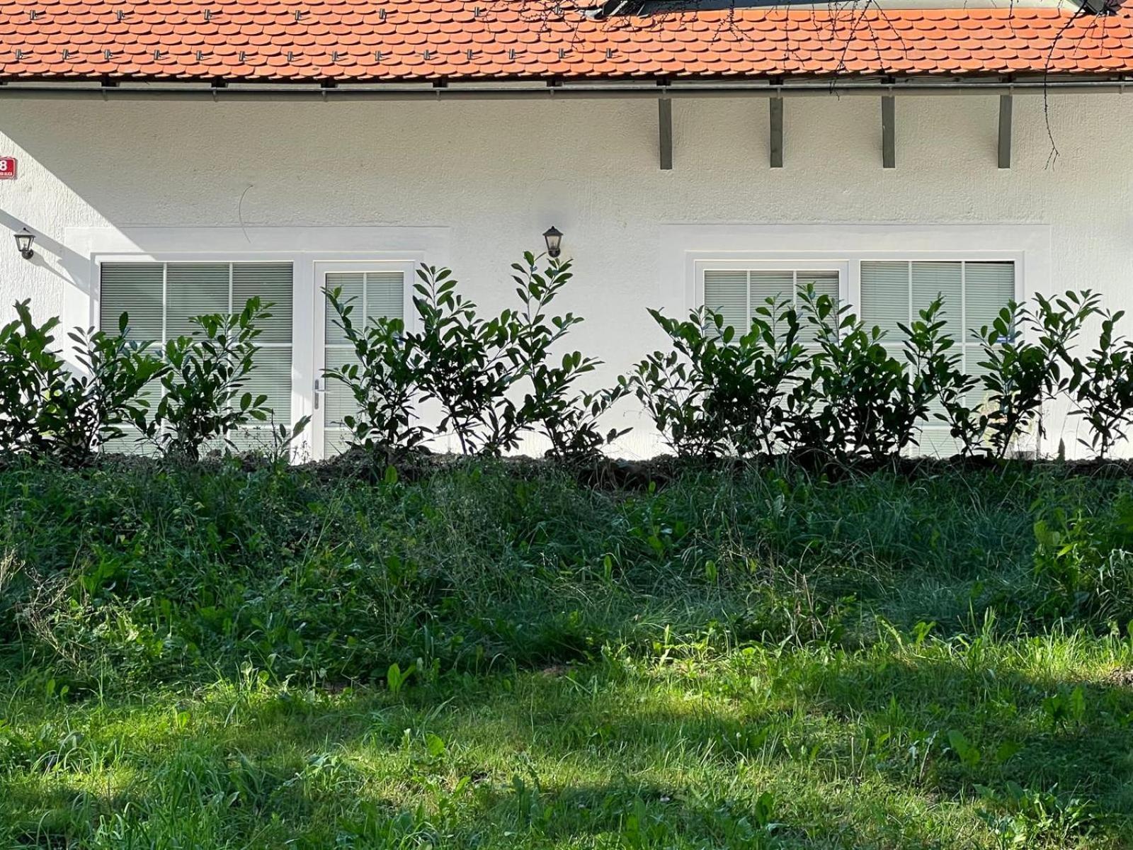 Centralpark Suites Maribor Bagian luar foto